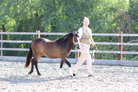 LAR_1596