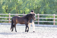 LAR_1597