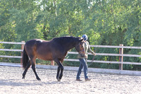LAR_1598