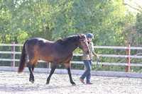 LAR_1600