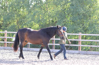 LAR_1599
