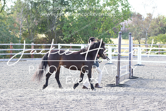 LAR_1617
