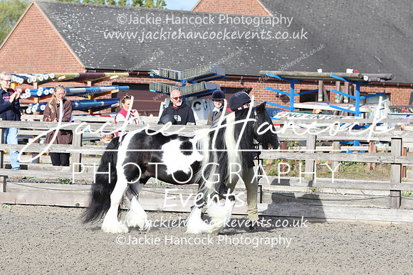 LAR_1643