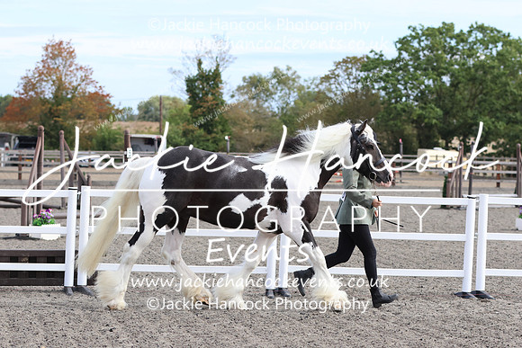 LAR_1795