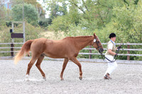 LAR_2085