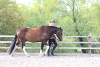 LAR_2093
