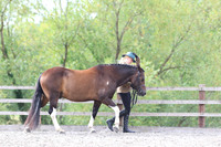 LAR_2095