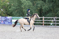 LAR_2185