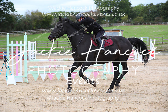 XC1_9518