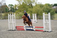 All Showjumping between 09.15 - 13:00