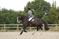 All Dressage Tests between 12:00 - 13:00