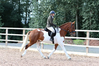 LAR_0478
