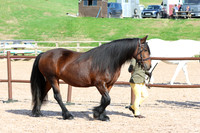 LAR_1058