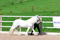 LAR_0838