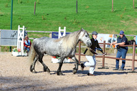 LAR_1552