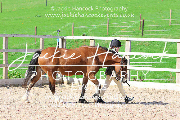 LAR_0902