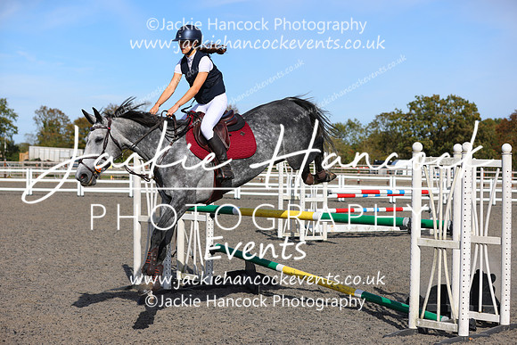 MCP_4696