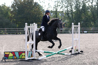 All Showjumping between 10:00 - 11:00