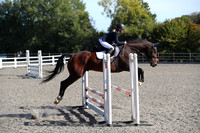 All Showjumping between 13:00 - 14:00