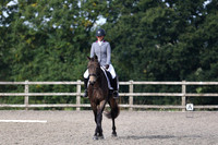 All Dressage Tests between 11:00 - 12:00