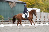 ARENA 1 - All Dressage Tests between 11:30 - 12:30