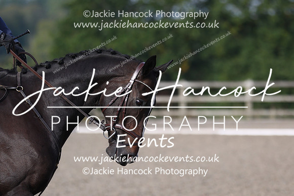 EJV_0184