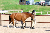 LAR_1050