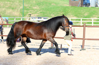 LAR_1554