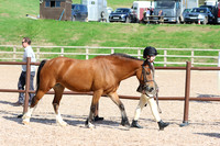 LAR_1051