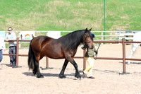 LAR_1056