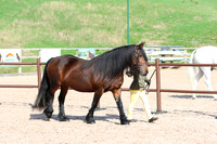 LAR_1057