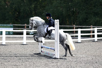 All Showjumping between 11:00 - 12:00