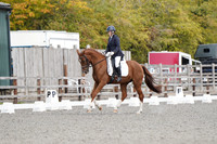 SN_01042