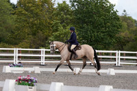 ARENA 1 - All dressage tests between 14:00 - 15:00