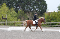 ARENA 1 - All dressage tests between 09:00 - 10:00