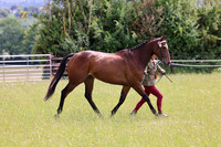 Class 8 - ROR