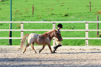 LAR_1563