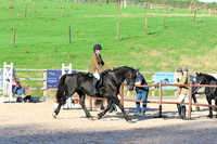 LAR_1631