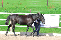 LAR_0846