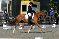 ARENA 1 - All Dressage Tests between 13:00 - 14:10