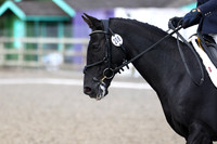 All Dressage Tests between 13:00 - 14:00