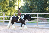 LAR_1620