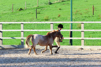LAR_1562