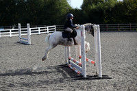 All Showjumping between 11:00 - 12:00