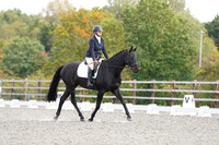 ARENA 2 - All Dressage Tests between 11:30 - 12:30