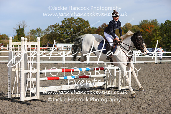 MCP_3419