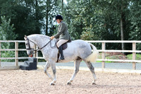 LAR_0536