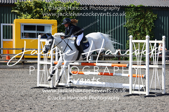 MCP_2334
