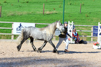 LAR_1551