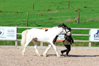 LAR_1308